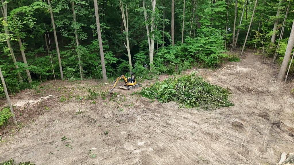 Land clearing